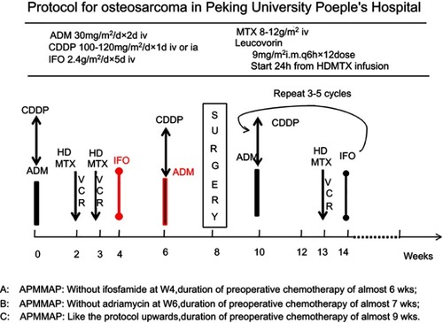 Figure 1 The chemo-regimen for osteosarcoma patients in musculoskeletal tumor center of Peking University People’s Hospital (Peking University People’s Hospital-Osteosarcoma, PKUPH-OS).