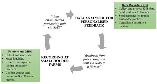 Figure 1. Conceptual framework of the mobile telephone short messaging service recording system trialled with smallholder dairy farmers and Milk Bulking Groups (MBG) in Malawi.