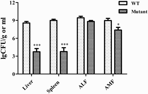 Figure 5. Bacterial load and colonization of the mutant and wild-type strains in chicken embryonic tissues. ALF, allantoic fluid; AMF, amniotic fluid. Statistical significance of differences was evaluated by t-test (*P < 0.5; ***P < 0.001).