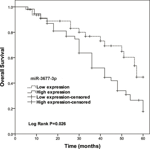 Figure 2 Comparison of 5-year survival curves of LUAD patients with high and low expression of miR-3677-3p by Kaplan–Meier plotter. (Log rank test P= 0.026).