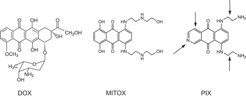 Figure 1. Chemical structures of doxorubicin (DOX), mitoxantrone (MITOX), and pixantrone (PIX).The arrows indicate that pixantrone differs from mitoxantrone in the lack of the hydroquinone, insertion of a nitrogen heteroatom in the same ring, and substitution of (ethylamino)-diethylamino for (hydroxyethylamino)-ethylamino side chains. Reproduced with permission from Menna et al. [Citation9]. Copyright 2016 American Chemical Society.