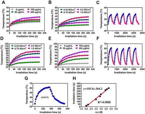 Figure 2 The photothermal properties of Ti3C2 and TiO2-Ti3C2 are shown in (A) Temperature change curves of Ti3C2 at different concentrations under laser irradiation (1064 nm, 0.5 W/cm2) for 6 minutes; (B) Temperature change curve of Ti3C2 (100 μg/mL) under different power levels of 1064 nm laser irradiation; (C) Photothermal stability measurement of Ti3C2 under five cycles of on/off NIR laser (0.5 W/cm2); (D) Temperature change curves of TiO2-Ti3C2 at different concentrations under laser irradiation (1064 nm, 0.5 W/cm2) for 6 minutes; (E) Temperature change curve of TiO2-Ti3C2 (100 μg/mL) under different power levels of 1064 nm laser irradiation; (F) Photothermal stability measurement of TiO2-Ti3C2 under five cycles of on/off NIR laser (0.5 W/cm2); (G) Temperature-time curve of TiO2-Ti3C2 reaching steady-state temperature and cooling naturally; (H) Linear fitting plot of time during cooling period and −lnθ.