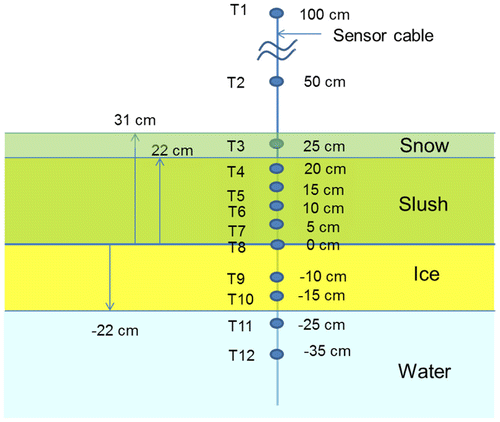 Fig. 2. A schematic picture of the installation of the 12 sensor thermistor string for measuring air, dry snow, slush, ice and water temperature at site 3. The vertical line represents the sensor cable with thermistor sensor depths referenced to the slush/ice interface on 29 January 2016.
