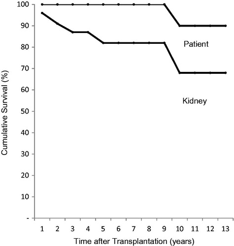 Figure 1. Kaplan–Meier estimates of patient and graft survival in kidney transplant recipients with lupus nephritis.