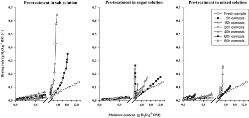 Figure 4 Drying rate curves for tomato from different osmotic pre-treatements.
