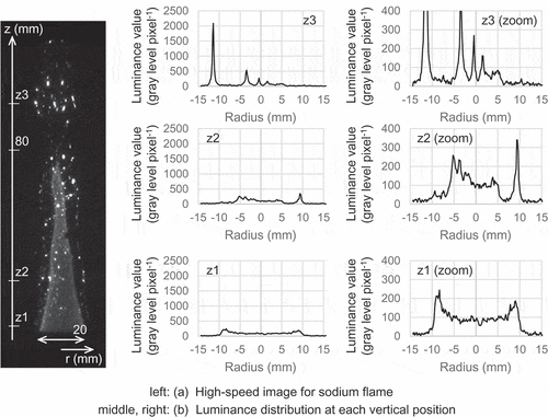 Figure 3. Spatial luminance distribution in a typical sodium flame.