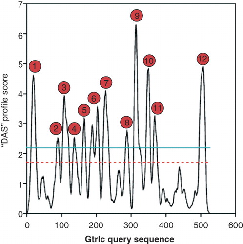 Figure 1.  DAS predictions for potential presence of membrane spanning segments within GtrIc. Twelve transmembrane α-helices were detected at the loose cut-off (dotted red line). Peak signals are annotated according to these measurements. At the strict cut-off (solid blue line), 13 transmembrane α-helices were identified. DAS is used to represent the consensus output, with consistent plots also observed in HMMTOP, PHDhtm, TMHMM, and TMpred. This Figure is reproduced in colour in the online version of Molecular Membrane Biology.