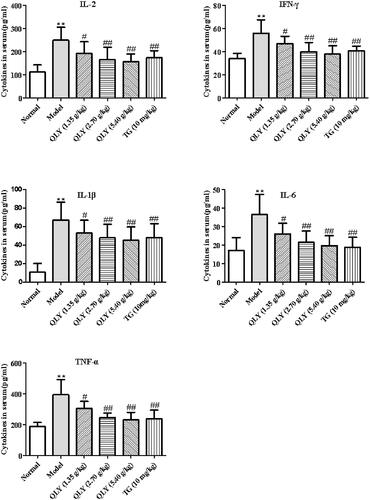 Figure 6. Effects of QLY granules on inflammatory cytokine production in serum. Data are expressed as the mean ± SD, with 10 animals in each group. **p < 0.01 vs. normal; #p < 0.05, ##p < 0.01 vs. model.