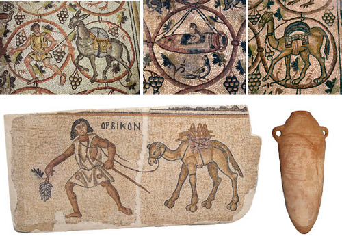 Figure 5 Above: Excerpts from the Be<er Shema Byzantine church mosaic displaying several components of Negev viticulture: pigeons flanked by grape leaves, one of which roosts on an adapted Gaza wine jar (centre); a donkey (left), a camel (right) and their respective drivers, whose loads are covered but which appear on a background of grape clusters and leaves. Below: The mosaic (left) found at Kissufim, not far from Gaza, captures the overland transport of the products of viticulture in the region during Late Antiquity. Orbikon the camel driver appears to lead on a tired camel with a cluster of grapes. Strapped to the camel’s back are Gaza wine jars of which an archaeological example is shown (right). Photos: Be<er Shema mosaic: Daniel Varga, Israel Antiquities Authority; Kissufim mosaic: Elie Posner, Israel Antiquities Authority Collection at the Israel Museum Jerusalem; Gaza jar: Davida Eisenberg-Degen, Israel Antiquities Authority.