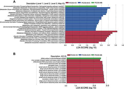 Figure 4 Functional annotation of gut microbiota of 27 PCOS patients from metagenomic sequencing data. Linear discriminant analysis (LDA) effect size (LEFSe) was used to identify KEGG pathways (A) and KOs (B) with significant differences in relative abundance between groups. LDA>2 for KEGG pathways or LDA>2.5 for KOs, and p<0.05 are listed.