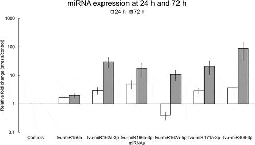 Figure 11. Relative fold change of selected fennel miRNAs under salinity stress at 24 h and 72 h. The fold change was calculated using the delta-delta CT method, U6 snRNA was utilized as the normalization control, and the values were normalized relative to the control condition (set as 1). Error bars indicate the standard error of the biological replicates.