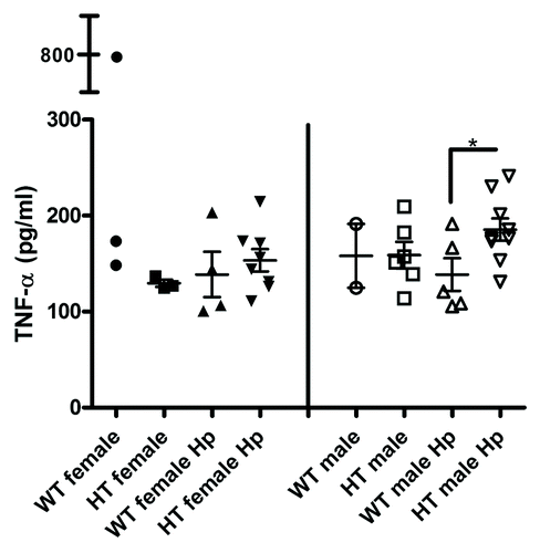 Figure 8. Serum concentration of tumor necrosis factor α (TNF-α) in the different groups of mice. *, p < 0.05.