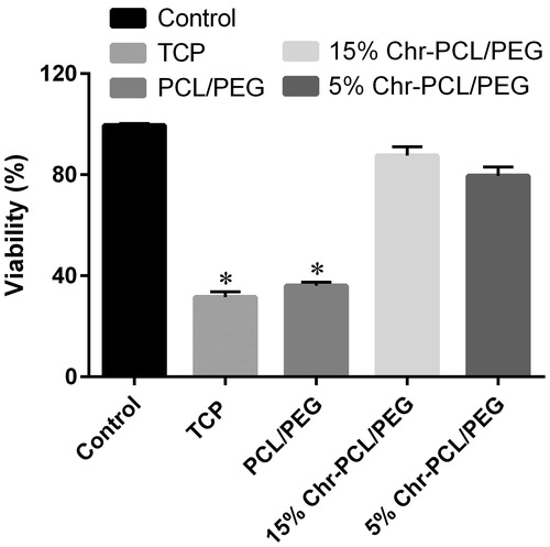 Figure 8. Viability of HFF-1 cells cultured in the presence and absence of 1% H2O2 on PCL/PEG nanofibers, 5 and 15% (w/w) Chr-loaded nanofibers. Viability was significantly reduced on PCL/PEG nanofibers lacking Chr due to oxidative stress (*p ≤ .05).