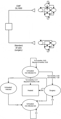 Figure 1. Markov model of all health states associated with tibial fracture nonunion.