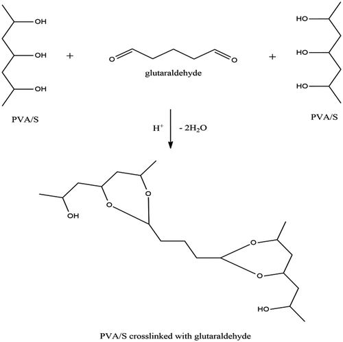 Figure 1. Crosslinking mechanism of PVA/S with glutaraldehyde.