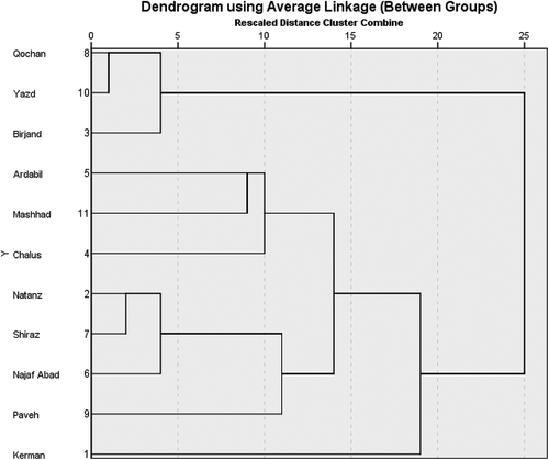 Figure 4. Dendrogram from the hierarchical clustering analysis (HCA) of 11 traditional dried Kashk.