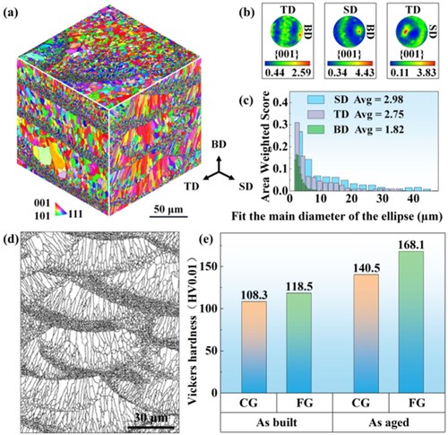 Figure 3. (a) Pseudo-3D view composed of EBSD inverse pole figure (IPF_X) of the as-built sample showing the microstructure;(b) EBSD pole figures (PF) on three different planes;(c) Particle size distribution map of each surface in the three-dimensional view;(d) EBSD grain boundary image in the SD direction (GB);(e) Microhardness of bimodal heterostructure.