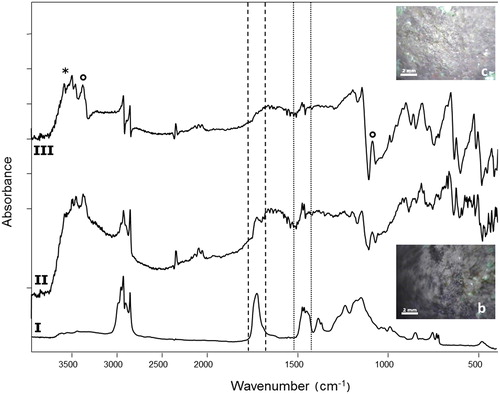 Figure 8. FTIR reflectance spectra of (I) reference double-layer coating acrylic resin (Incralac®)/microcrystalline wax laid on a bronze coupon; area 2a (II) before and (III) after laser cleaning. The removal of the coatings was evaluated through their typical peaks at 1465–1474 cm−1 (dotted-line square, microcrystalline wax) and 1723 cm−1 (dashed-line square, acrylic resin). Antlerite (*) and brochantite (°) were also found before and after cleaning. Insets show the investigated areas.
