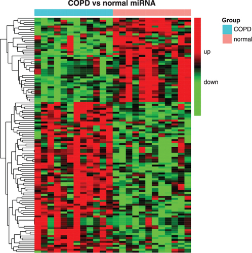 Figure 2 A heat map showing different expression patterns of 120 miRNAs with P <0.05 and absolute fold change >1.5 or <-1.5 in patients with COPD and normal controls. The heat map indicates upregulation (red), downregulation (green), and mean gene expression (black). The columns represent individual samples, including 12 COPD and 12 control samples. The rows represent individual miRNAs.