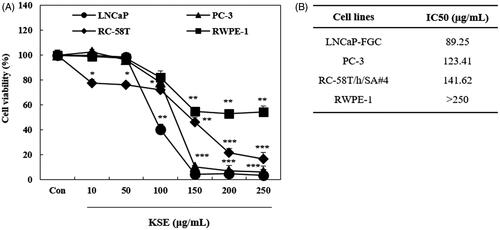 Figure 6. Effects of KSE on proliferation of human prostate cancer (LNCaP, PC-3 and RC-58T), and human prostate endothelial (RWPE-1) cells. (A) After incubation with KSE for 24 h, cell growth was determined by SRB assay. (B) IC50 values of KSE were estimated from a plot of the percentage of viable cells. Data values were expressed as mean ± SD of triplicate determinations. Significance of difference was compared with the control at *p < 0.05, **p < 0.01 and ***p < 0.001 by one-way ANOVA and Tukey’s multiple comparison.