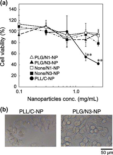 Figure 5. Cytotoxicity of nanoparticles. After incubation of HepG2 cells with various nanoparticles in Opti-MEM for 24 h, (a) cell viability was determined, or (b) the cells were observed using a microscope. Each data point represents the mean ± SD of measurements from three individual wells.