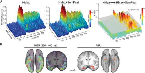 Figure 1. The temporal and spatial distribution of object-specific semantic feature information. (a) Model fit between the HMax model (left) and the combined HMax and semantic feature model (centre) to the MEG data over sensors and time. Right: significant increases in model fit are observed from 190 ms when including semantic feature information in addition to the HMax model. (b) Spatial distribution of semantic feature effects from MEG and fMRI, showing a correspondence in the anterior temporal lobes. MEG data in ‘a’ and ‘b’ reproduced from Clarke et al. (Citation2014), fMRI data in ‘b’ reproduced from Clarke and Tyler (Citation2014).