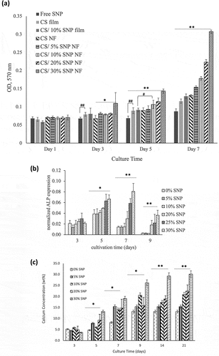 Figure 7. (a) cell viability with free SNP addition and on various CS scaffolds, including CS film, CS NF, CS film with 10% SNP (CS/10% SNP film), and CS NF with the addition of 5%, 10%, 20% and 30% SNP. The significant differences between two indicated were denoted by #(p < 0.1) and ##(p < 0.05) according to a two-tailed t-test (n >4). The significant differences of the groups below the same horizontal line were denoted by *(p < 0.1) and **(p < 0.05) according to ANOVA test (n > 4). Figure 7 (b) ALP expression and (c) calcium deposition of 7F2 cells on CS/SNP nanofibers with differing SNP content and spinning time in osteogenic differentiation medium. The significant differences of the groups below the same horizontal line were denoted by *(p < 0.05) and **(p < 0.01) according to ANOVA test (n > 4).