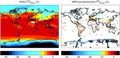 Fig. 5 δ18O in precipitation. Annual average δ18O in present-day precipitation for the UVic model (left panel) and observations from GNIP (IAEA, 2006) (long-term time averages shown) and Antarctic surface snow (Masson-Delmotte et al., Citation2008) datasets, interpolated to a UVic model grid (right panel). Observational values are plotted at a slightly larger size than the actual grid cell (130%) for improved visualization.