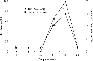 Figure 6. Effect of co-culture temperature on transformation of CG-37 with pIG121-Hm/EHA101. Mean responses at each temperature that are labelled with the same letter are not significantly different at according to Duncan's test (two independent experiments; 25 explants per treatment).