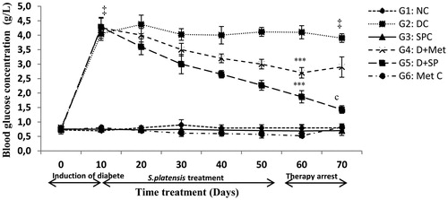 Figure 1. Effect of S. platensis administration on blood glucose level. NC: Normal Control; DC: Diabetic Control; SPC: SP control; D + Met: Diabetic rats treated with metformin; D + SP: Diabetic rats treated with SP; MetC: Metformin Control. Each value represents mean ± SE (n = 8). ‡p < 0.001, compared with group 1 values, ***p < 0.001, compared with group 2 values, (c) p < 0.001, compared the same group before and after therapy arrest (60th and 70th day) values.