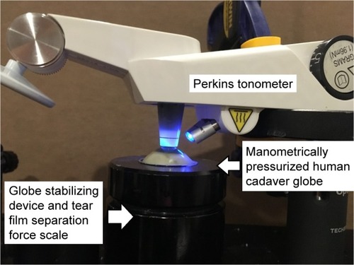 Figure 6 Photograph of applanation tonometry tear film adhesion measurement setup with Perkins tonometer and cadaver eye apparatus.