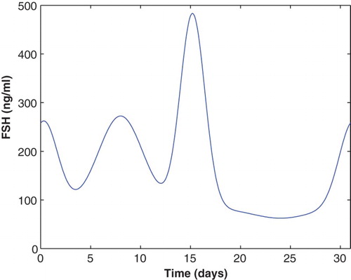 Figure 8. The FSH input function (Equation21(21) FSH=82.5+190e−(t−8)210+180e−(t−0.3)20.4+400e−(t−15.2)23−20e−(t−24)215.(21) ) has three distinct rises during one cycle and is used to produce three follicle waves.