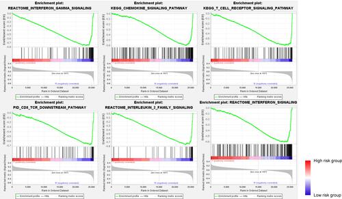 Figure 7 GSEA pathway enrichment analysis of the 8-lncRNA signature.