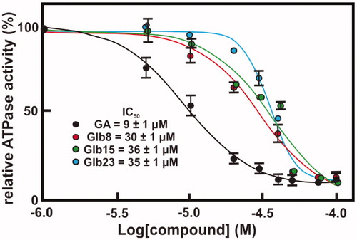 Figure 6. Concentration–response curves of compounds against LbHsp90 ATPase activity inhibition. The ATPase activity inhibition of LbHsp90 was determined as described in Material and Methods section. Concentration-response curve of four compounds, namely (A) Glb08, (B) Glb15, (C) Glb23 and (D) GA. The absolute IC50 value was determined by nonlinear regression analysis employing GraphPad Prism 6 software.