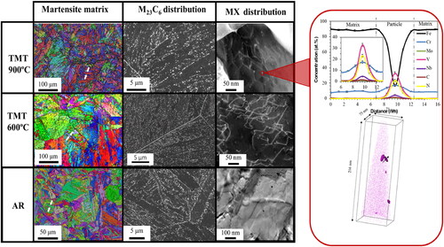 Figure 4. IPF-EBSD maps, SEM and TEM micrographs of the martensite matrix, M23C6 precipitates and MX nanoprecipitates distributions after the TMT and AR processes in steel G91. The APT analysis in this figure show 2.5 at.% V isoconcentration surfaces and the corresponding 1 D concentration profile along the MX nanoparticle denoted by a black arrow in the isoconcentration surfaces. The APT is not directly correlated to the TEM image though they both refer to the same heat treatment condition (ausforming at 900°C). After (Vivas, Capdevila, et al., Citation2019)