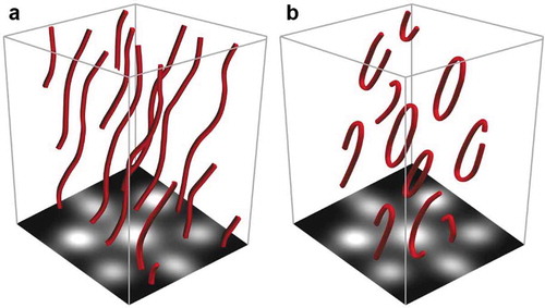 Figure 1. Two kinds of vortex lines in the 3D free space. (a) Infinite vortex lines. (b) Vortex loops