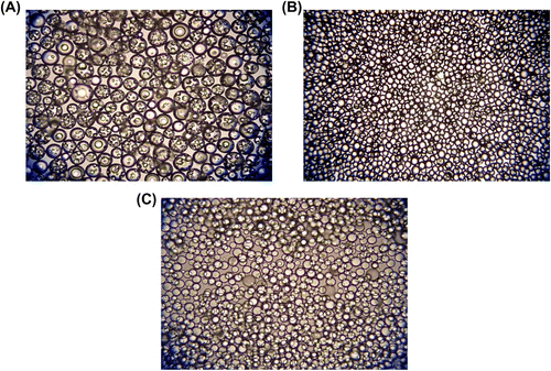 Figure 11 Optical micrographs of terpolymer beads synthesized with different functional monomers. Functional monomers: (A) None, (B) MAA, and (C) DMAEM. Original Magnification 125× for (A) and (B) and 500× for (C).