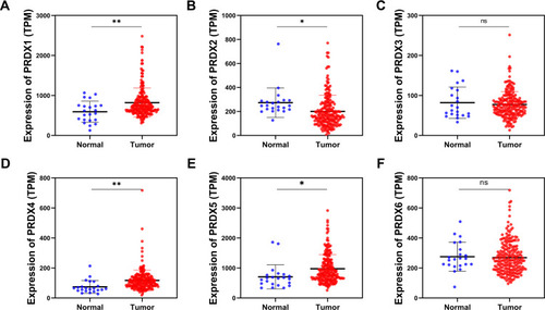 Figure 1 The expression levels of PRDX family of normal tissues (blue) and tumor tissues (red) in OSCC (TCGA cohort). (A) PRDX1; (B) PRDX2; (C) PRDX3; (D) PRDX4; (E) PRDX5; (F) PRDX6. (*P<0.05; **P<0.01)