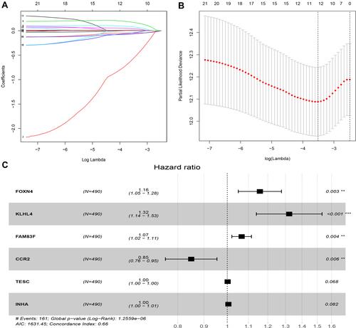 Figure 5 Identification of prognosis-related DEGs using LASSO regression model and multivariate Cox regression analysis. (A) LASSO coefficient profiles of the DEGs associated with disease-free survival of LUAD. (B) Plots of the cross-validation error rates. Each dot represents a lambda value along with error bars that represent the confidence interval for the cross-validated error rate. The top of the plot gives the size of each model. The vertical dotted line indicates the value with the minimum error and the largest lambda value where the deviance is within one SE of the minimum. (C) Forest plots of hazard ratios (HR) of survival-associated DEGs obtained using multivariate Cox regression analysis. A total of 6 DEGs were found to be prognostic factors. The genes with HR < 1 are protective factors, while the ones with HR > 1 are risk factors in CRC. The hazard ratio is the ratio of the HR corresponding to the conditions described by two levels of an explanatory variable. **P <0.01, ***P<0.001.