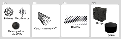 Figure 1 Different carbon-based nanomaterials used in tissue engineering approaches are categorized by dimensionality from 0D to 3D.