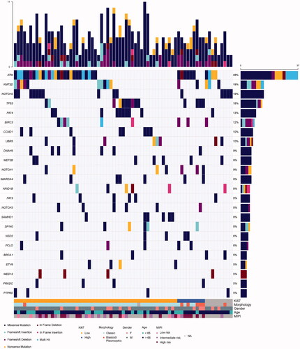 Figure 2. Landscape of mutations in the BLISS cohort. Oncoplot of the most commonly altered genes in the cohort. The upper bar plot represents counts of alterations per sample. The right panel bar plot refers to the total number of samples with alterations in that specific gene. Clinicopathological information is added on the lower region of the oncoplot.