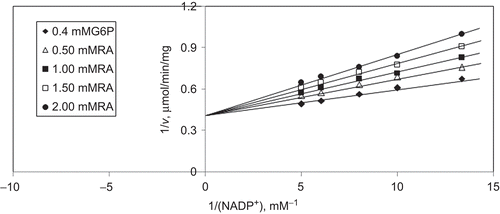 Figure 9.  Inhibition kinetics of sheep brain cortex glucose-6-phosphate dehydrogenase (G6PD). Lineweaver–Burk double reciprocal plot of initial velocity against NADP+ as varied substrate and rosmarinic acid (RA) (0–2 mM) as inhibitor at different fixed glucose 6-phosphate (G6P) (0.4 mM) concentrations.