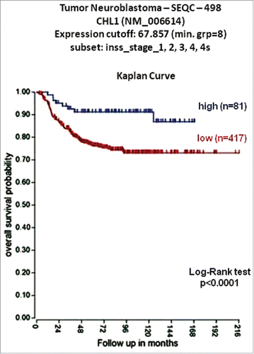 Figure 2. Low CHL1 expression in NB is associated with a poor prognosis. Using the neuroblastoma SEQC patient data sets in the R2 Genomics Analysis and Visualization Platform (http://r2.amc.nl), patients were divided into high (blue) and low (red) CHL1 gene expression groups by median-centered Log2 ratios and overall survival curve was generated. Numbers of patients per group are shown between brackets.
