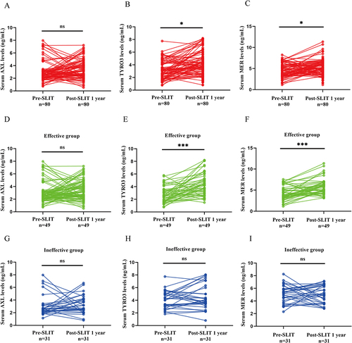 Figure 5 Serum TAM receptor tyrosine kinases concentrations in the effective and ineffective groups 1 year post-SLIT. Serum AXL (A) levels did not change significantly before and after treatment. Circulating TYRO3 (B) and MER (C) levels were increased after 1 year of SLIT than pre-SLIT levels. (D) In the effective group, serum AXL levels did not change significantly in pre-SLIT, but serum TYRO3 and MER (F) concentrations were significantly increased post-SLIT 1 year than pre-SLIT. Serum AXL, TYRO3, and MER levels were not significantly changed between post-SLIT 1 year and pre-SLIT (G–I). *P<0.05,***P<0.001.