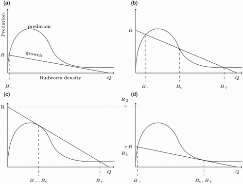 Figure 1 Four different values of R given a fixed value of Q. Different relationships between R and Q generate systems with different numbers of, and values for, those equilibria.