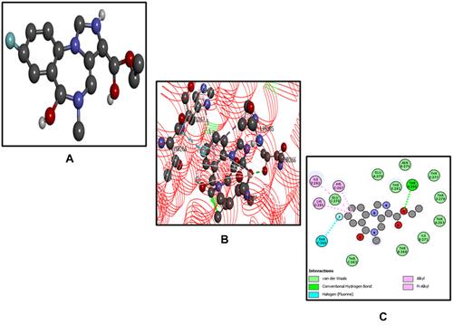 Figure 9 Best pose of flumazenil (FLZ) (A), interactions of FLZ (B) and two-dimensional representation of hydrogen bonds of FLZ (C) drawn using Discovery Studio Visualizer 2016.