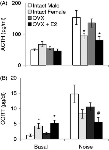 Figure 5. The effects of sex (Intact male and intact female) and ovariectomy with (OVX + E2) or without (OVX) estradiol replacement on HPA axis responses to 30 min of 105 dB noise are displayed in Figure 5. Intact females were monitored for estrous cycle, but were not given stress while in a particular stage. All values are displayed as means ± 1 SEM. *: p < 0.05 compared to both intact male and OVX female rats. #: p < 0.05 compared to intact male rats. (A) ACTH concentrations before (Basal) and after noise stress. (B) CORT concentrations before (Basal) and after noise stress.