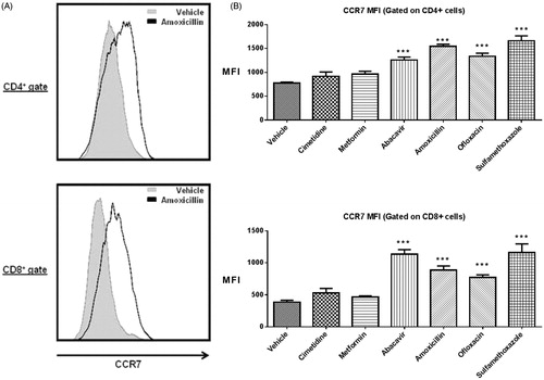 Figure 2. (A) Representative histograms showing the up-regulation of CCR7 surface expression on CD4 + and CD8+ cells following amoxicillin treatment. (B) MFI of CCR7 for CD4+ and CD8+ T-cells. ***p < 0.001; n = 10. Data were combined from two independent experiments with five mice/group/experiment. Each point represents one individual value. All data are expressed as mean ± SEM.