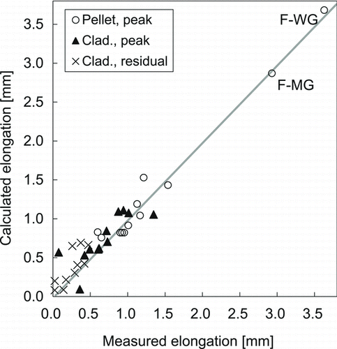 Figure 7 Comparison of elongations of fresh fuel rods between measurement and calculation with the parameter set FR
