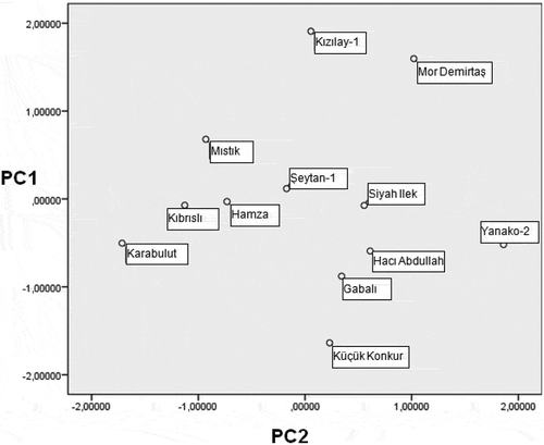 Figure 4. Scatter plot of PC1/PC2 plane showing the relationships between figs